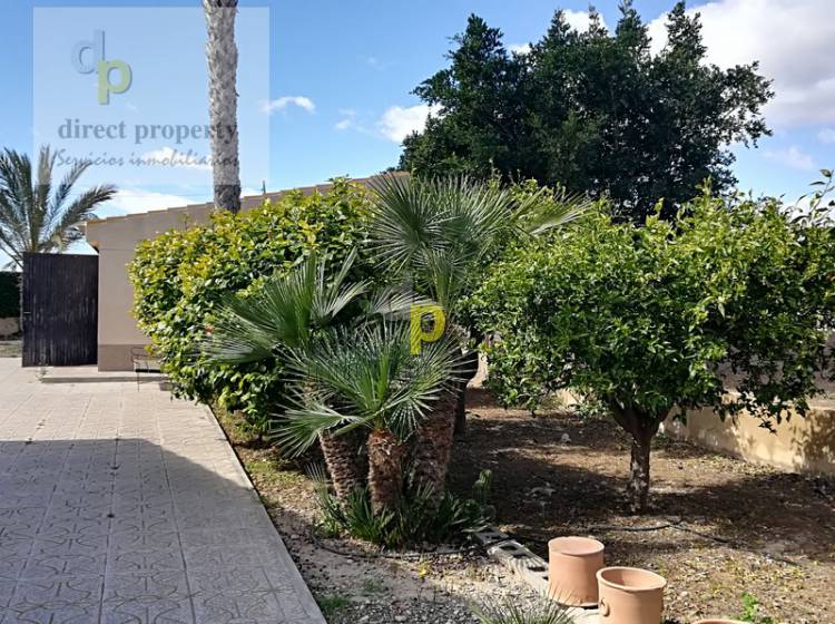 Jardín