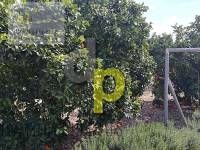 Jardín