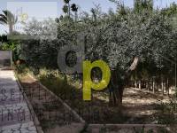 Alquiler larga temporada - Chalet - Elche Pedanías - Maitino