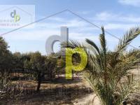 Venta - Casa de campo - Alicante - Partidas dispersas