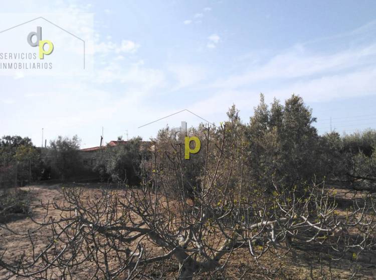 Sale - Country House - Alicante - scattered games