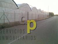 Alquiler larga temporada - Nave Industrial - Torrellano - Parque Empresarial