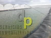 Long time Rental - Industrial - Torrellano - Parque Empresarial