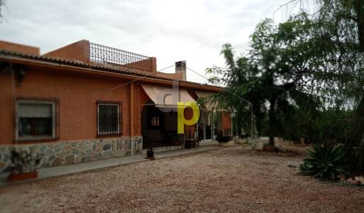 Chalet - Venta - Elche Pedanías - Saladas