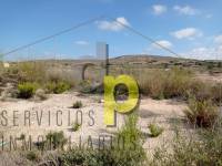 Venta - Parcela / Terreno - Torrellano