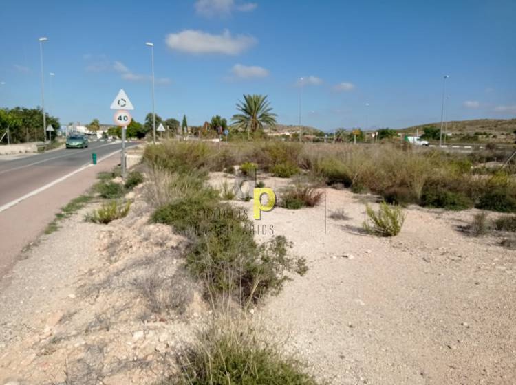 Venta - Parcela / Terreno - Torrellano
