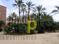 Long time Rental - Apartment / Flat - Elche - Altabix - University