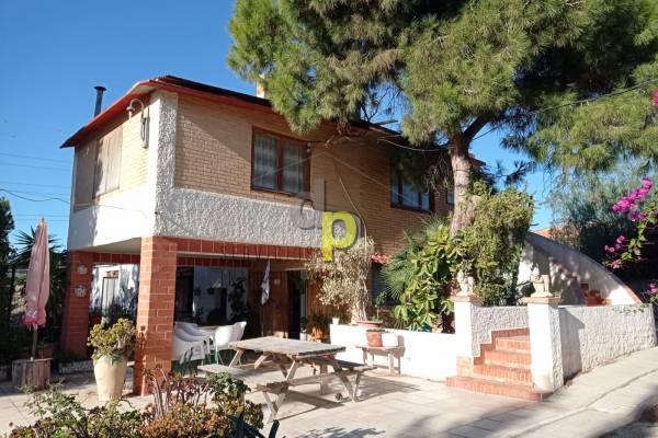 Chalet - Venta - Elche Pedanías - Saladas