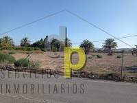 Long time Rental - Rustic Finca - Torrellano - Torrellano Bajo