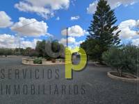 Venta - Finca Rústica - Elche Pedanías - Jubalcoy