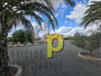 Venta - Finca Rústica - Elche Pedanías - Jubalcoy