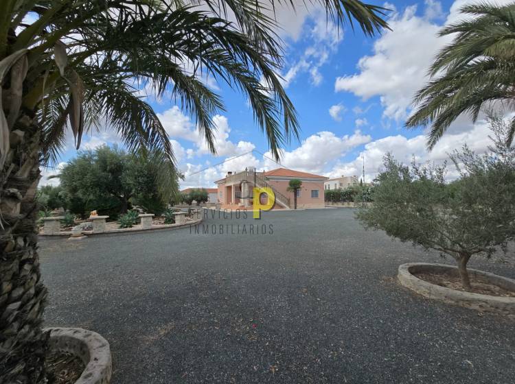 Venta - Finca Rústica - Elche Pedanías - Jubalcoy