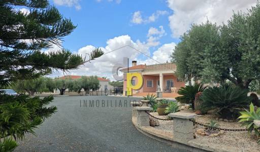 Chalet - Venta - Elche Pedanías - Jubalcoy