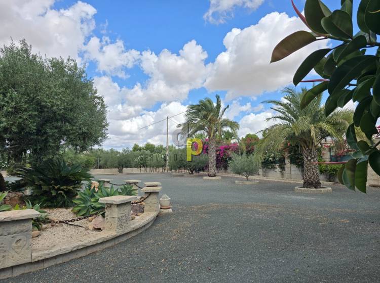 Venta - Finca Rústica - Elche Pedanías - Jubalcoy