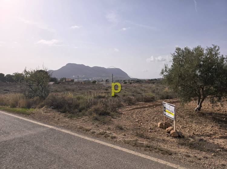 Venta - Finca Rústica - Alicante - Moralet - Cañada del Fenollar