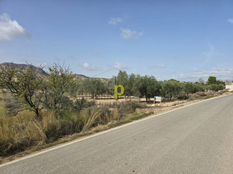 Venta - Finca Rústica - Alicante - Moralet - Cañada del Fenollar