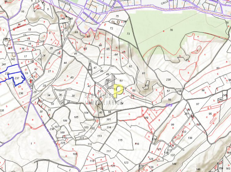 Venta - Finca Rústica - Alicante - Moralet - Cañada del Fenollar