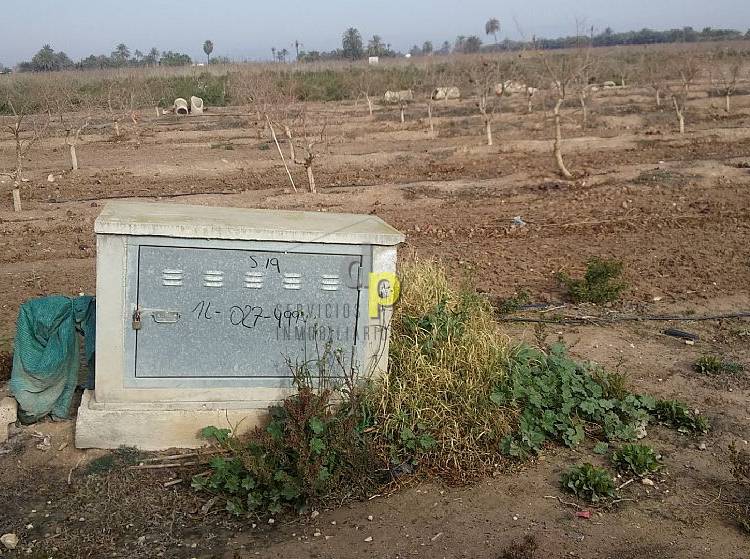 Venta - Suelo - Elche Pedanías - Asprillas