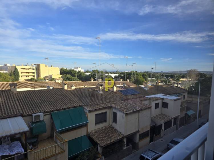 Alquiler larga temporada - Apartamento / Piso - Torrellano