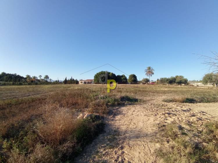 Venta - Finca Rústica - Elche Pedanías - Las Bayas