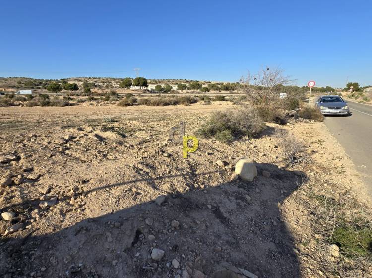 Venta - Parcela / Terreno - Elche Pedanías - Saladas