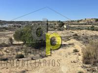 Venta - Finca Rústica - Torrellano - Torrellano Bajo