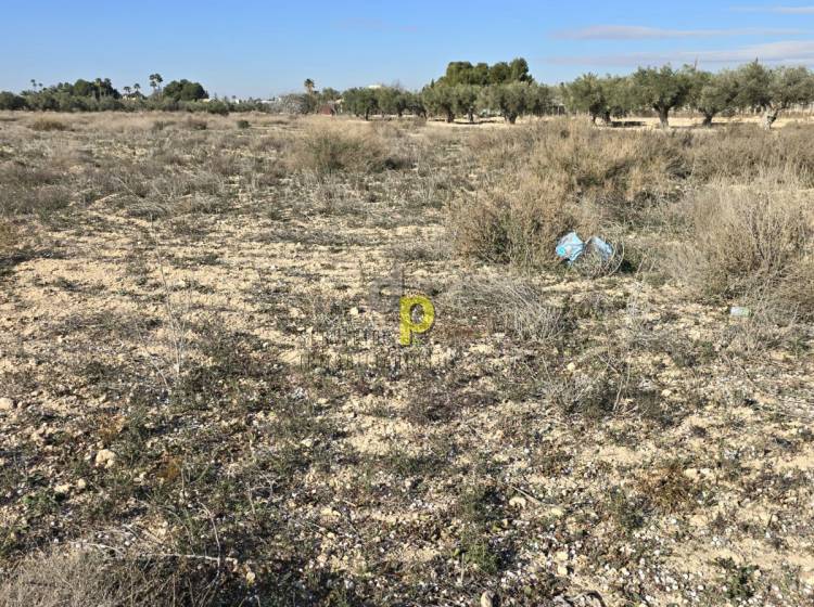 Alquiler larga temporada - Parcela / Terreno - Elche Pedanías - Maitino