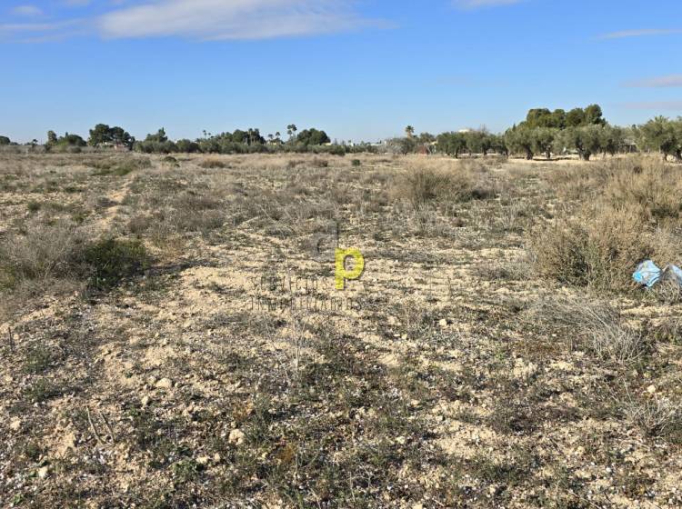 Alquiler larga temporada - Parcela / Terreno - Elche Pedanías - Maitino