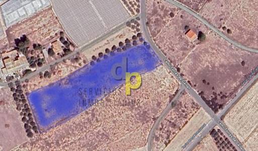 Plot - Long time Rental - Elche Pedanías - Maitino