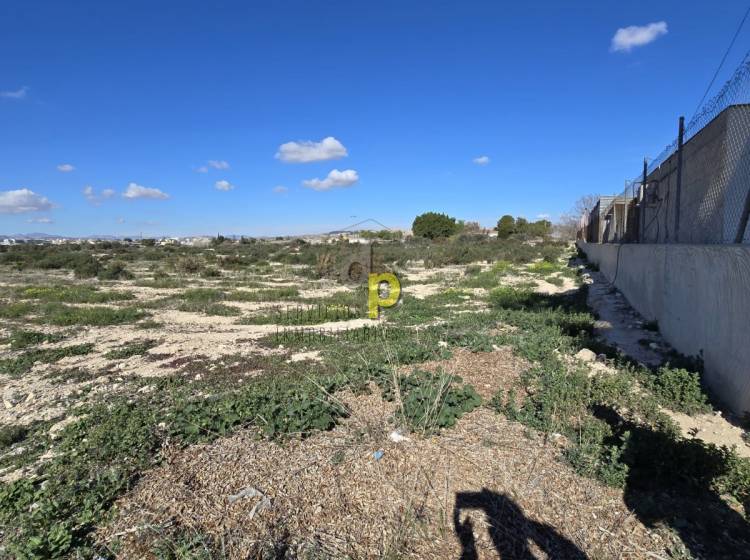 Venta - Finca Rústica - Elche - Campo de Fútbol