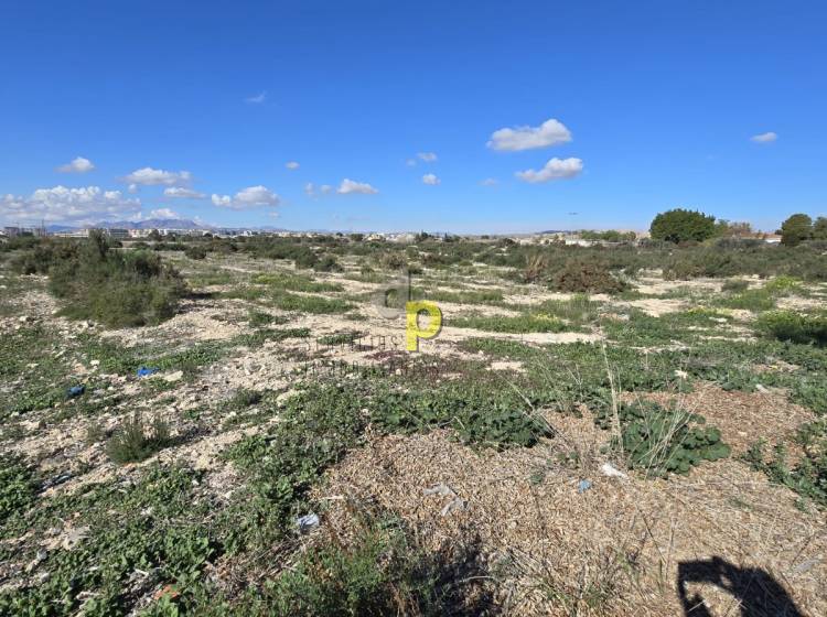 Venta - Finca Rústica - Elche - Campo de Fútbol