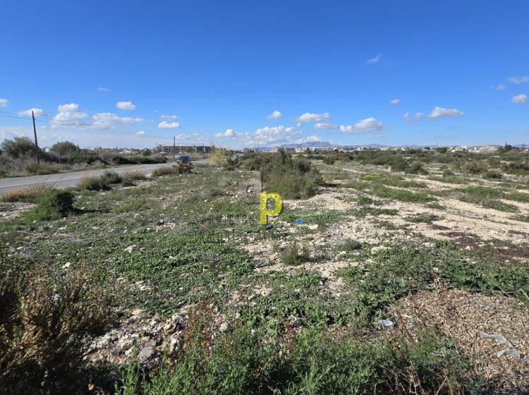 Venta - Finca Rústica - Elche - Campo de Fútbol