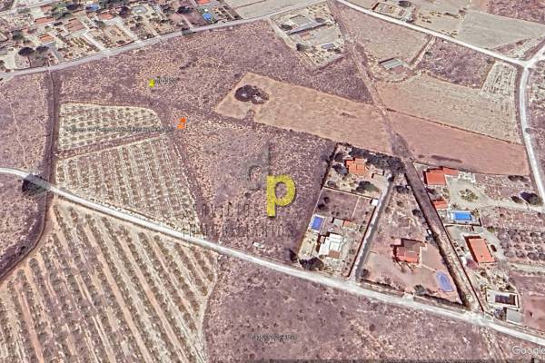 Rustic Finca - Sale - Elche Pedanías - Valverde