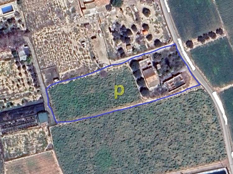 Venta - Casa de campo - Elche Pedanías - Las Bayas