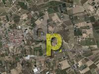 Venta - Casa de campo - Elche Pedanías - Las Bayas
