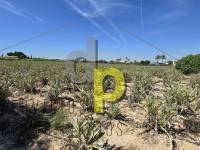 Sale - Country House - Elche Pedanías - Las Bayas