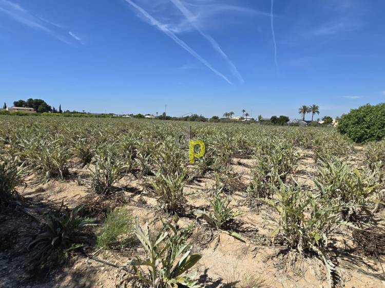 Sale - Country House - Elche Pedanías - Las Bayas