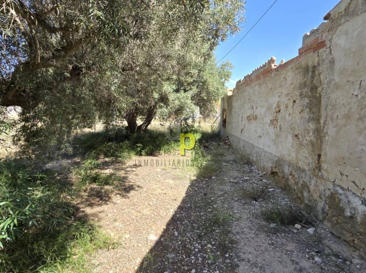 Sale - Country House - Elche Pedanías - Las Bayas