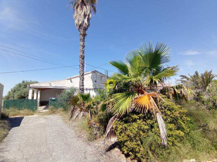 Sale - Country House - Elche Pedanías - Las Bayas