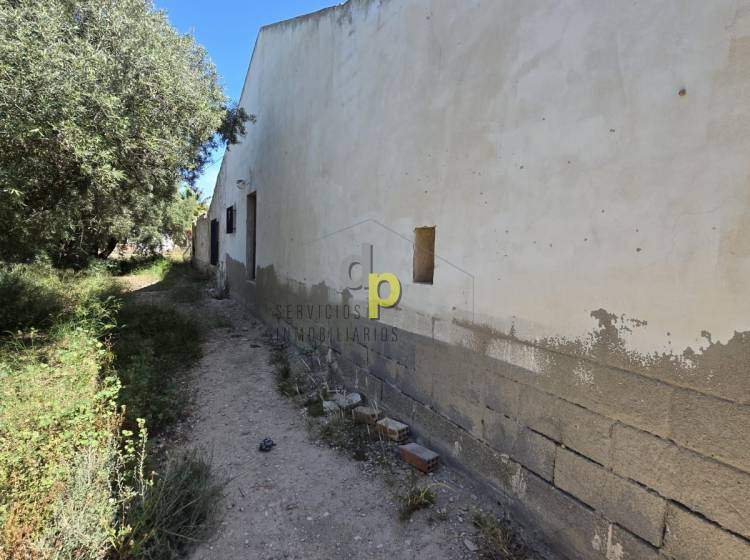 Sale - Country House - Elche Pedanías - Las Bayas