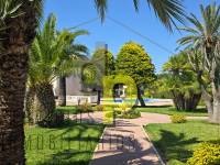 Venta - Chalet - Elche - Alzabares