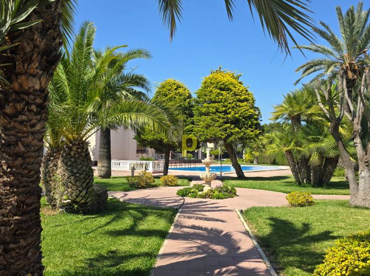 Venta - Chalet - Elche - Alzabares