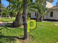 Venta - Chalet - Elche - Alzabares