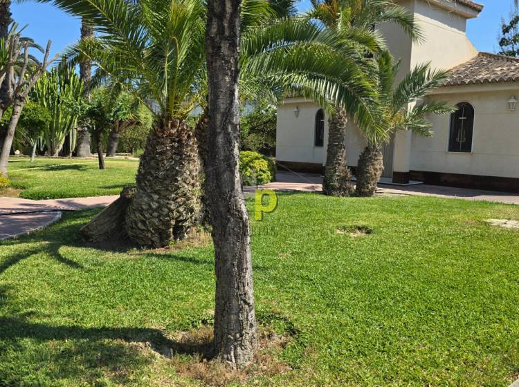 Venta - Chalet - Elche - Alzabares