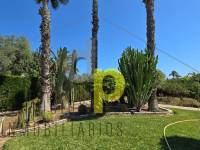 Venta - Chalet - Elche - Alzabares