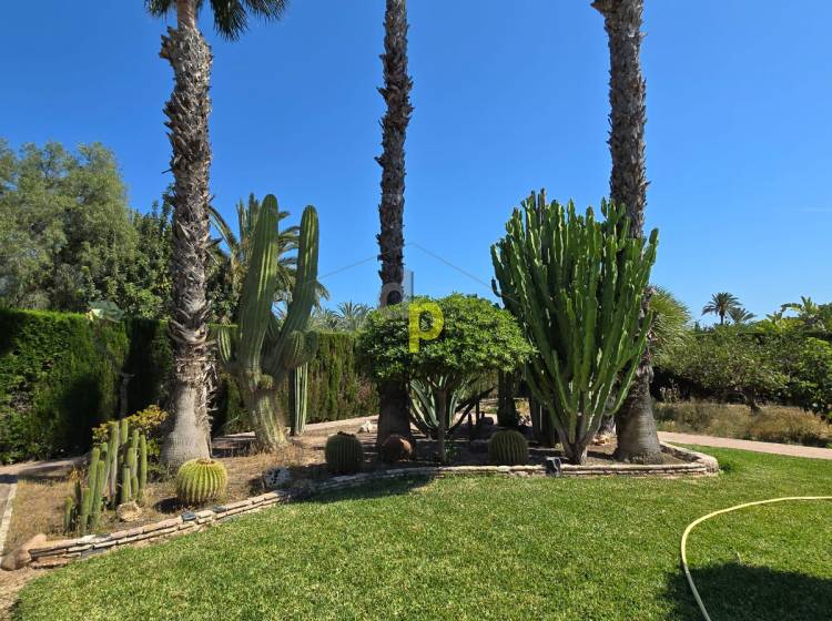 Venta - Chalet - Elche - Alzabares