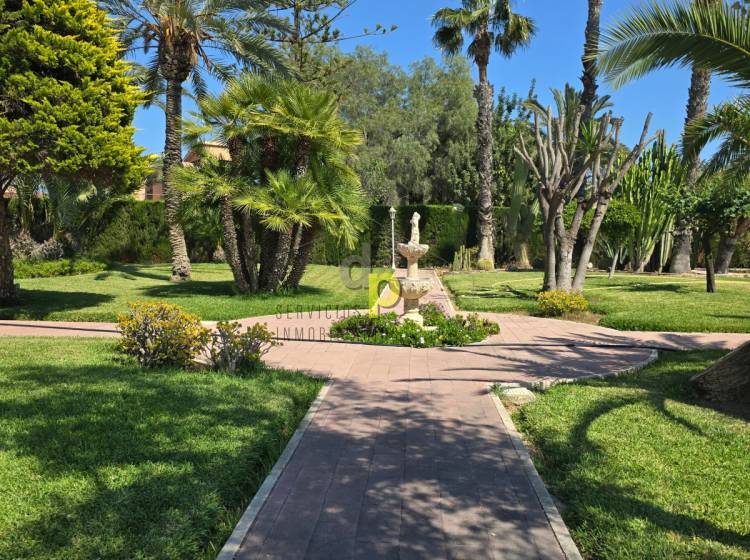 Venta - Chalet - Elche - Alzabares