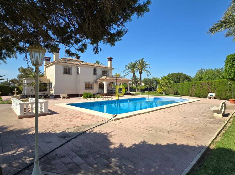 Venta - Chalet - Elche - Alzabares