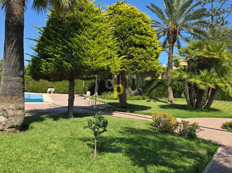 Venta - Chalet - Elche - Alzabares