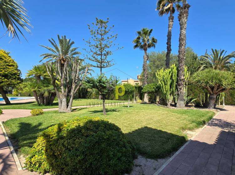 Venta - Chalet - Elche - Alzabares